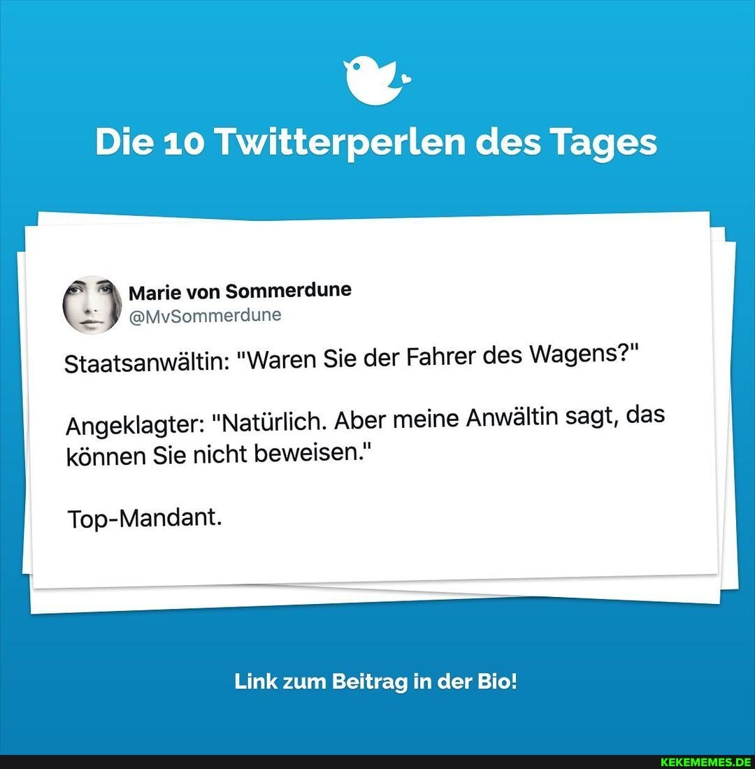 Die 10 Twitterperlen des Tages Marie von Soemmerdune @MvSommerdune  Staatsanwältin: Waren Sie der Fahrer des Wagens?
