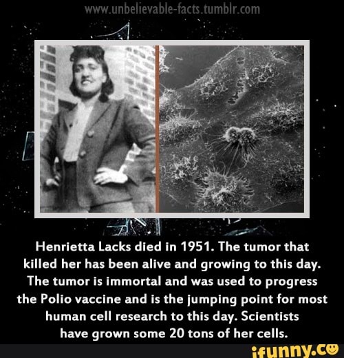 Henrietta Lacks Died In 1951 The Tumor That Killed Her Has Been Alive