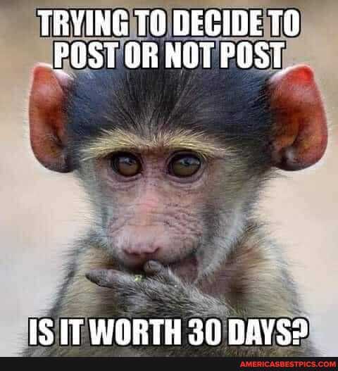 TRYING DECIDE PUST OR NOT POST,
IS IT WORTH NAVSS