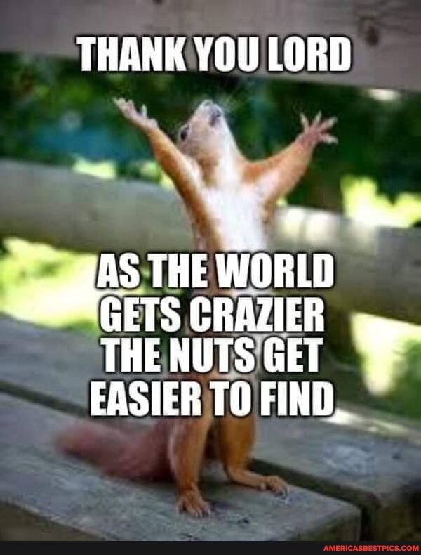 THANK YOU LORD fe & THE WORLD GETS CRAZIER THE NUTS GET EASIER TO FIND ...