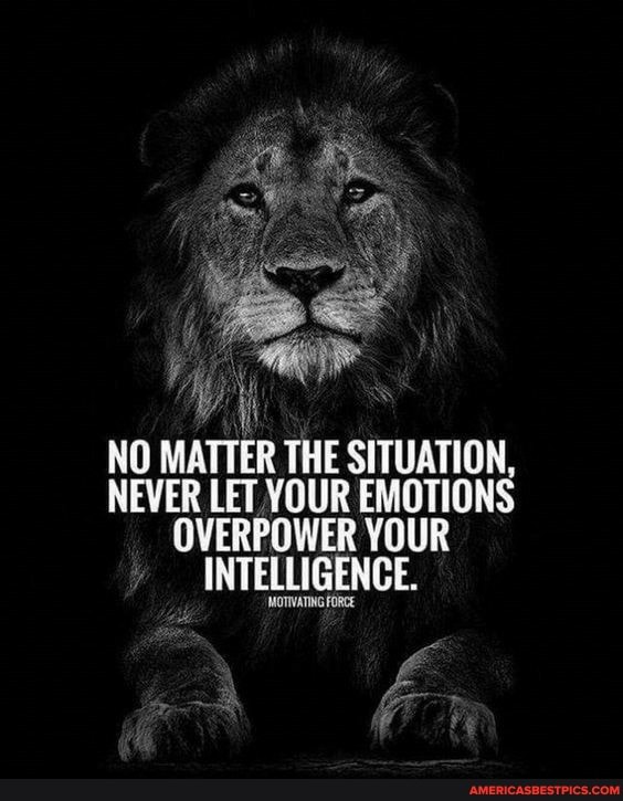 NO MATTER THE SITUATION, NEVER LET YOUR EMOTIONS OVERPOWER YOUR INTELLIGENCE  - America's best pics and videos