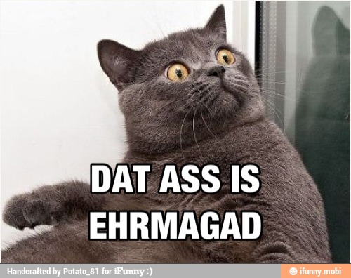 DAT ASS IS
EHRMAGAD