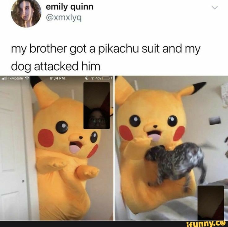 emily quinn
@xmxlyq
my brother got a pikachu suit and my dog attacked him