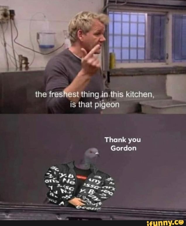 the freshest thing in this kitchen, is that pigeon
Thank you
Gordon