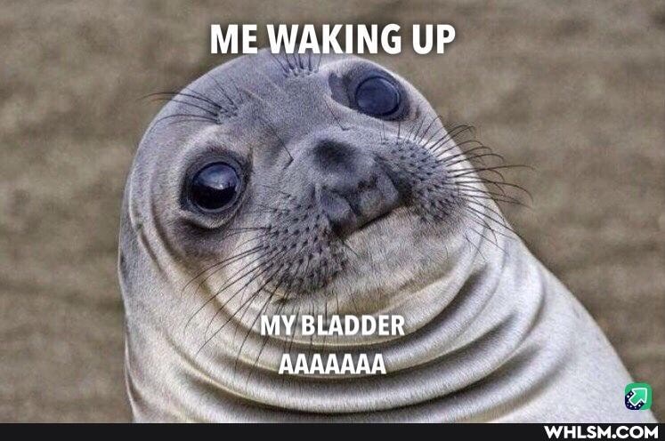 ME WAKING UP
MY BLADDER AAAAAAA
