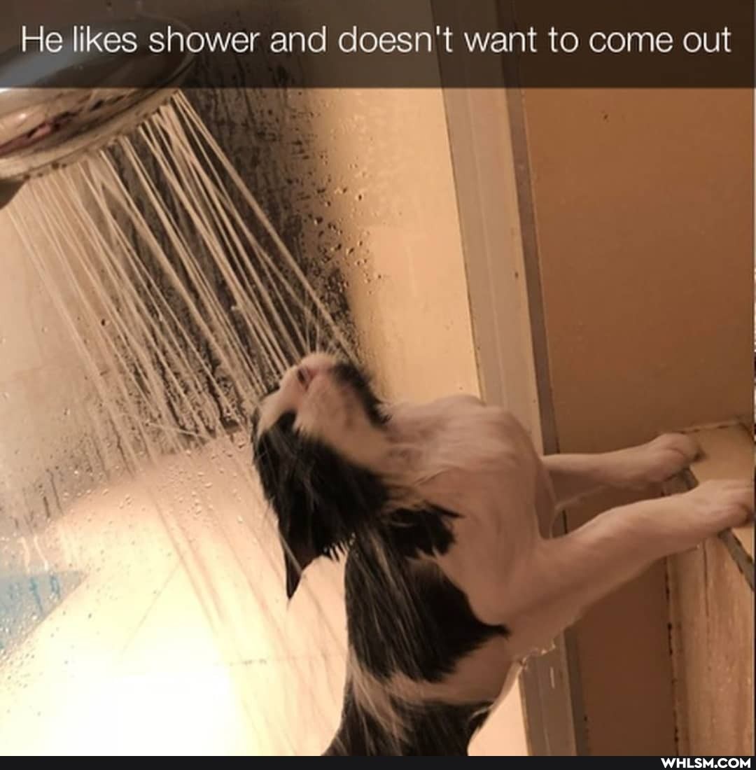 He likes shower and doesn't want to come out