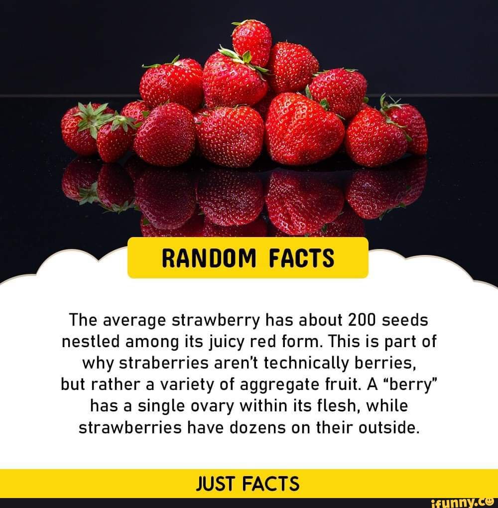 RANDOM FACTS The average strawberry has about 200 seeds nestled among