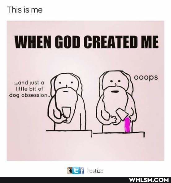 This is me
WHEN GOD CREATED ME
ooops and just a little bit of dog obsession.