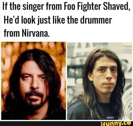 If the singer from Foo Fighter Shaved, He'd look just like the drummer ...