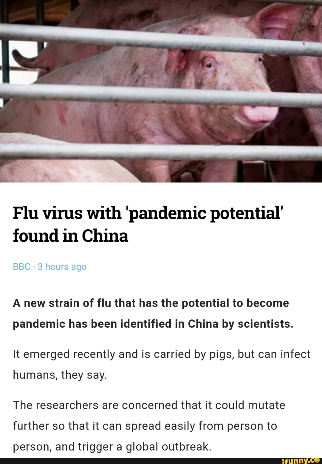 Flu virus with 'pandemic potential'
found in China
BBC 3 hours ago
A new strain of flu that has the potential to become
pandemic has been identified in China by scientists.
It emerged recently and is carried by pigs, but can infect
humans, they say.
The researchers are concerned that it could mutate
further so that it can spread easily from person to
person, and trigger a global outbreak.