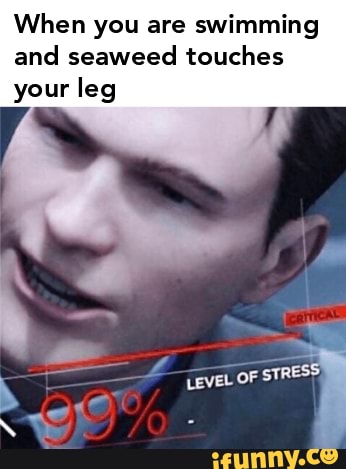 When you are swimming and seaweed touches your leg