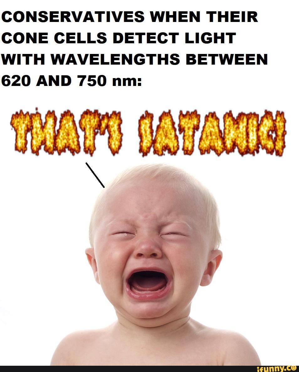 CONSERVATIVES WHEN THEIR CONE CELLS DETECT LIGHT WITH WAVELENGTHS