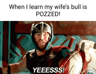 En I learn my wife's bull is POZZED! YEEESSS! - iFunny