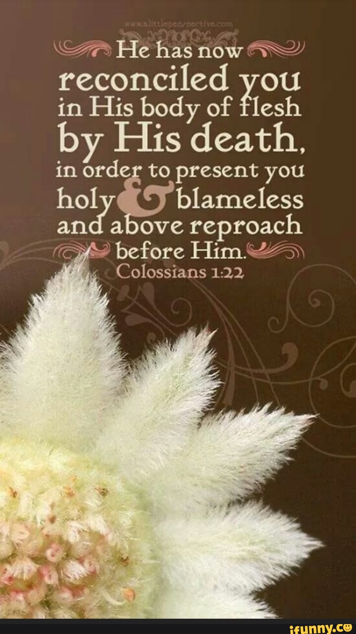 Reproach memes. Best Collection of funny Reproach pictures on iFunny