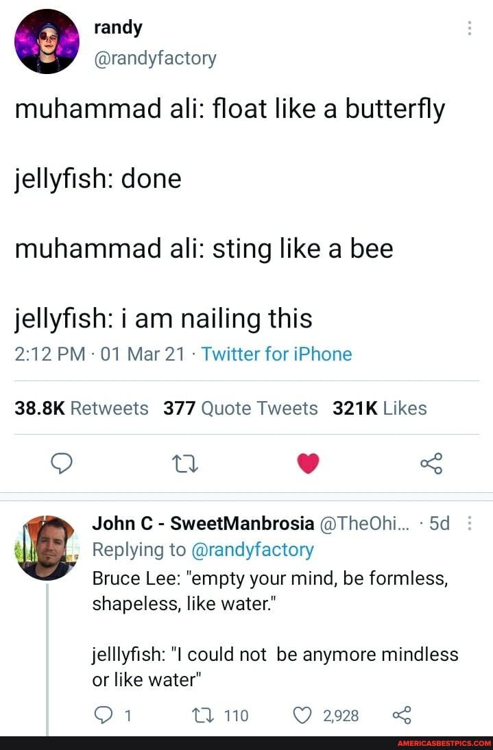 randyfactory muhammad ali float like a butterfly jellyfish done