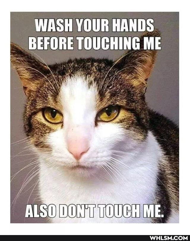 WASH YOUR HANDS BEFORE TOUCHING ME