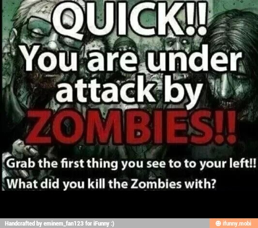 Grab the first thing you see to to your left!!
¿What did you kill the Zombies with? -