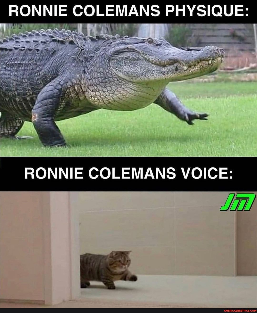 Colemans memes. Best Collection of funny Colemans pictures on America's  best pics and videos