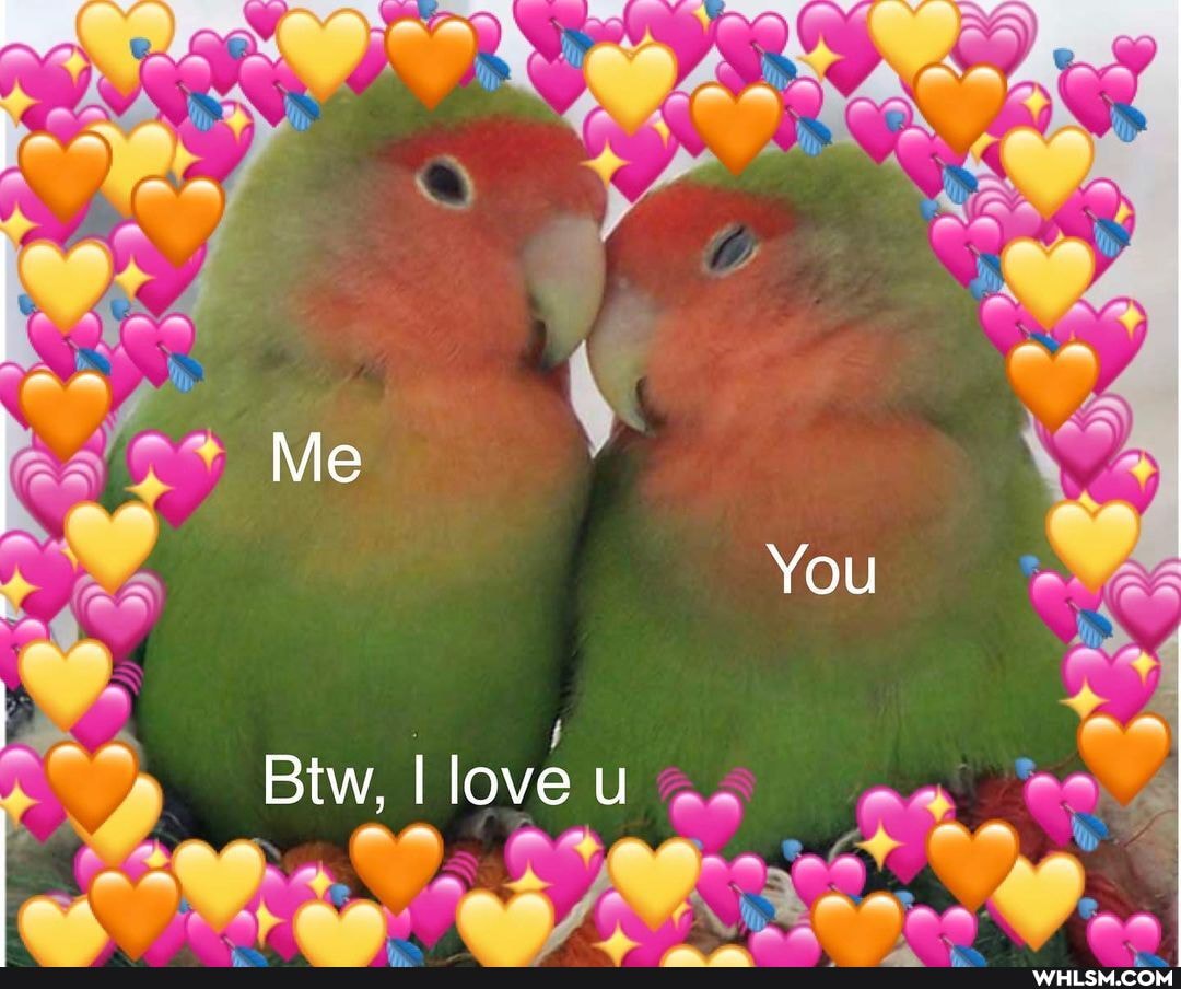 Me
You
Btw, I love u