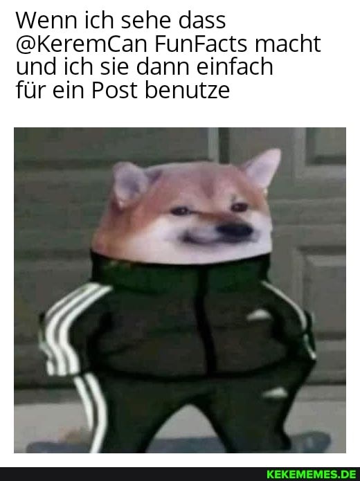 Wenn ich sehe dass
@KeremCan FunFacts macht und ich sie dann einfach
für ein Post benutze