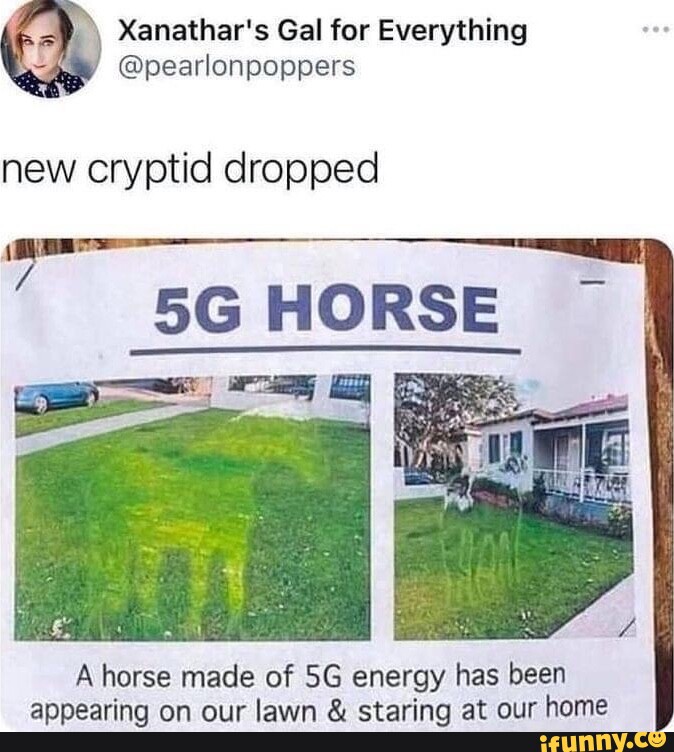 What Rotten Day No One Remembered It Was My Birthday But You Didn