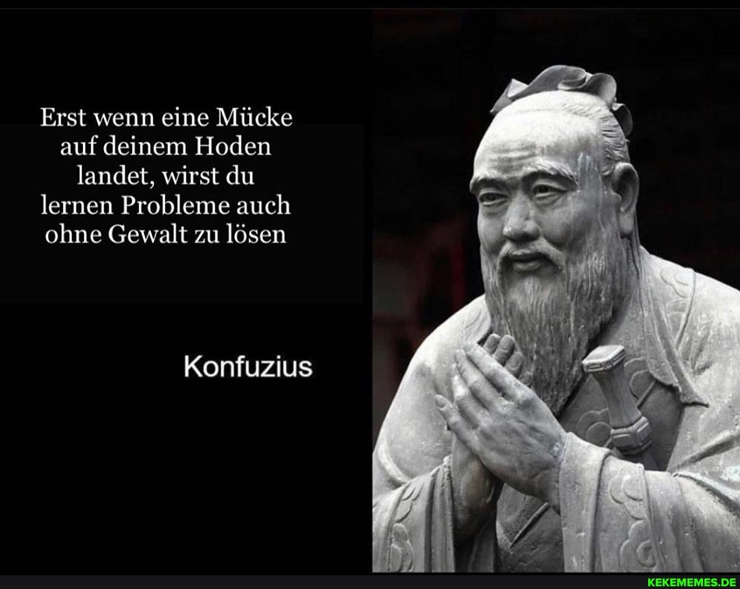 Erst wenn eine Mücke auf deinem Hoden landet, wirst du lernen Probleme auch ohne Gewalt zu lösen
Konfuzius
