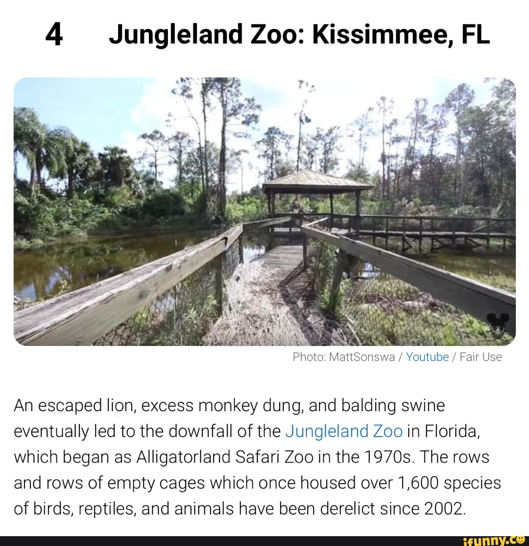 Kissimmee memes. Best Collection of funny Kissimmee pictures on iFunny