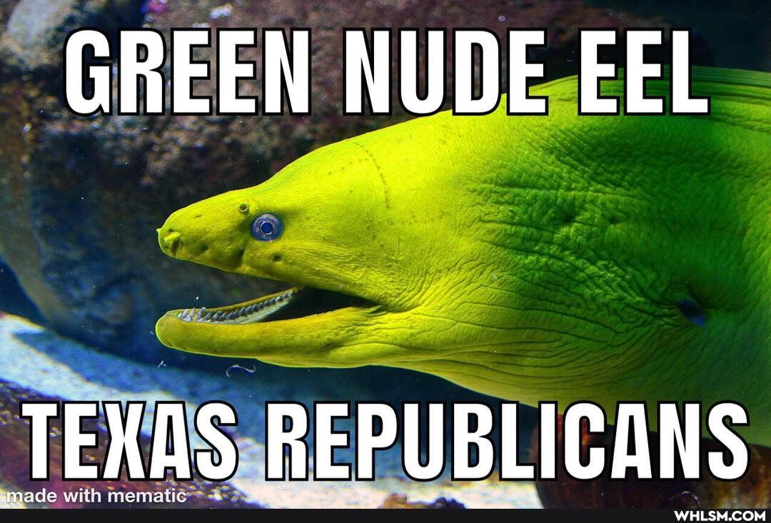 GREEN NUDE EEL
TEXAS REPUBLICANS