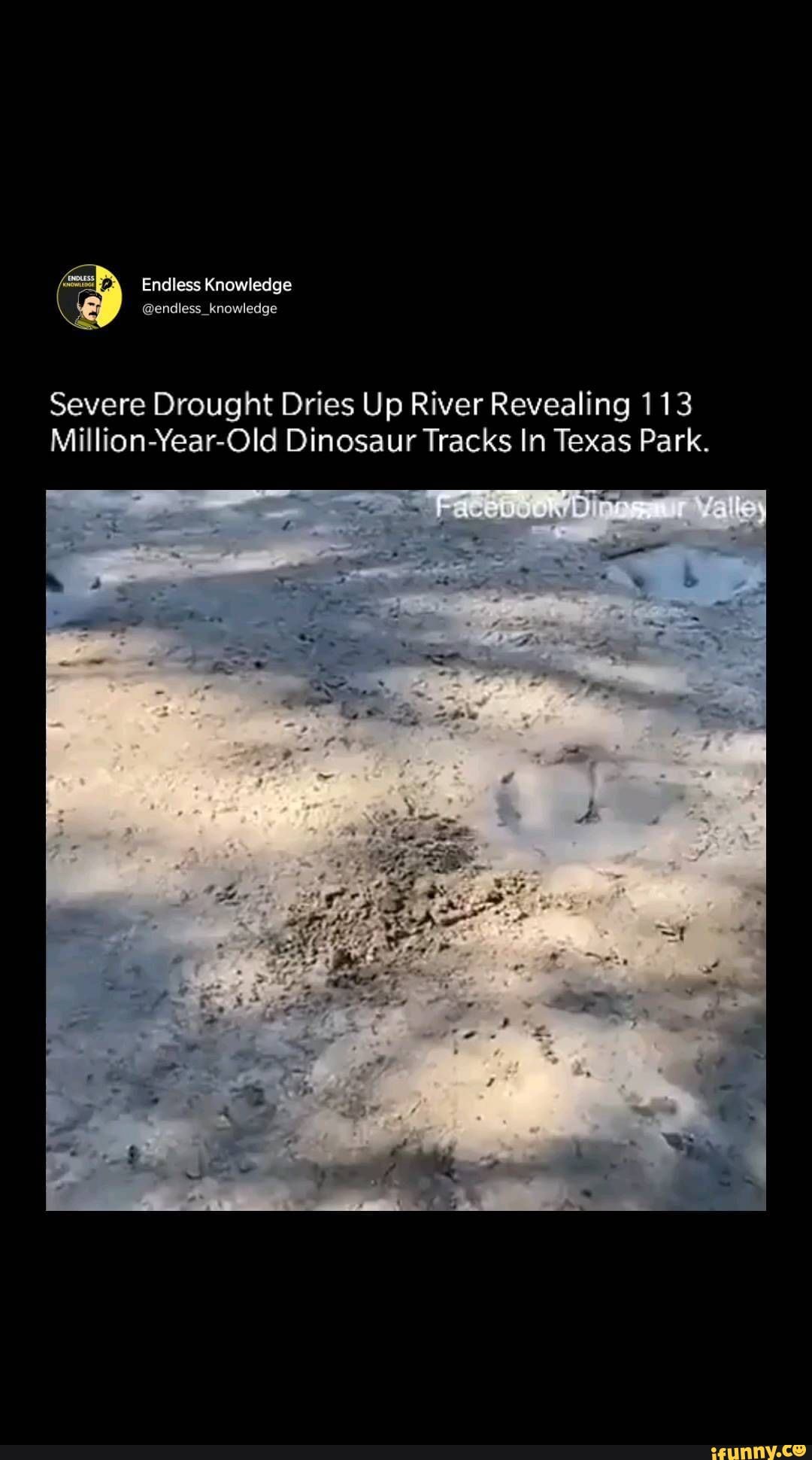 Dinosaur tracks appear after drought in Texas state park. A summer of ...