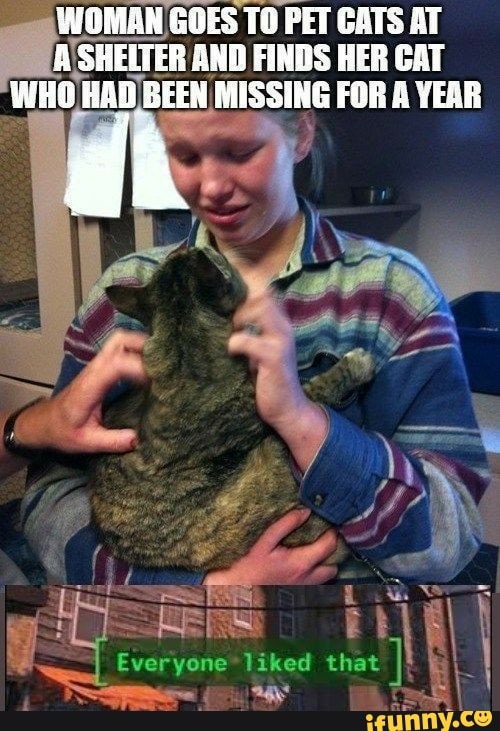 WOMAN GOES TO PET CATS AT SHEITER AND FINDS HER CAT WHO HAD SEEN MISSING FOR A YEAR
Everyone liked
