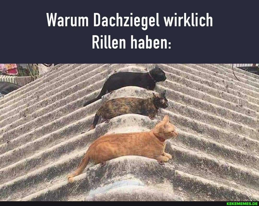 Warum Dachziegel wirklich
Rillen haben: