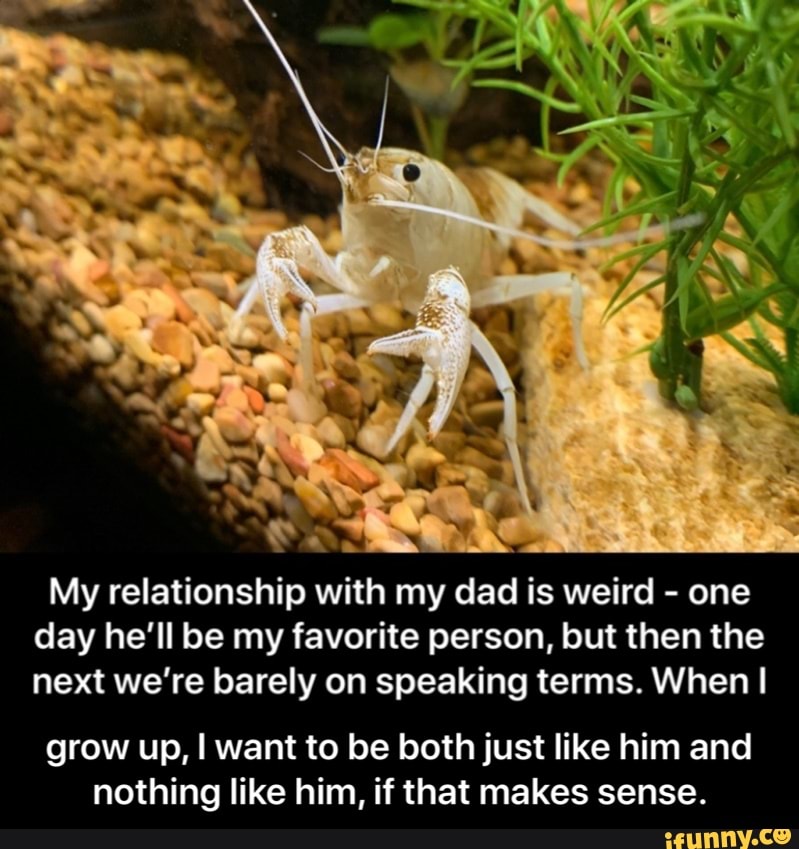 My relationship with my dad is weird
one
day he'll be my favorite person, but then the
next we're barely on speaking terms. When I
grow up, I want to be both just like him and
nothing like him, if that makes sense. - grow up, I want to be both just like him and nothing like him, if that makes sense.