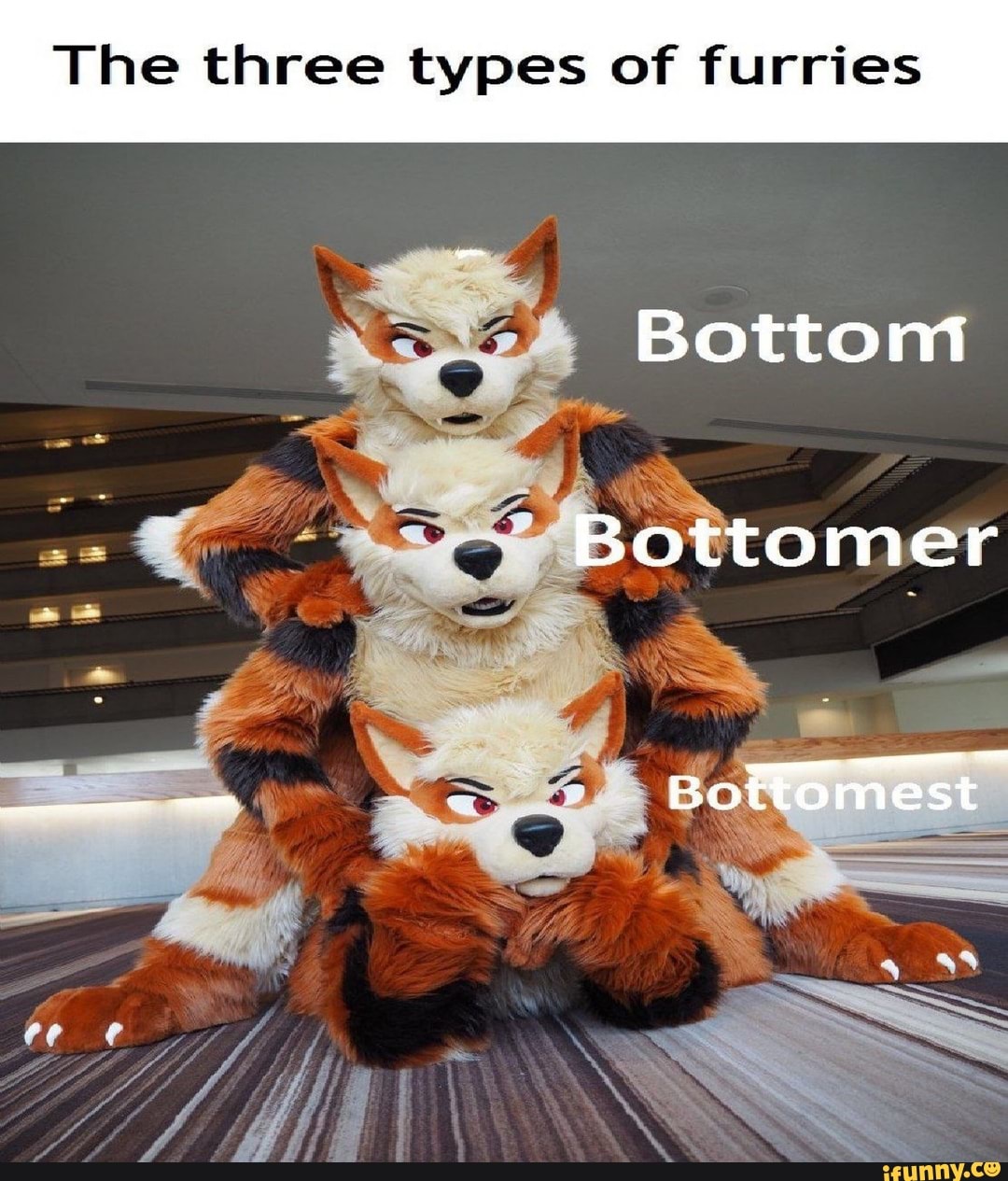 The three types of furries Bottomer Bottomest - iFunny