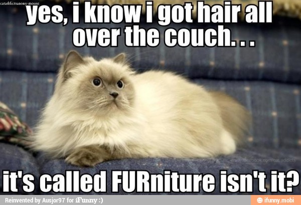 it's
called FURniture isn't ito