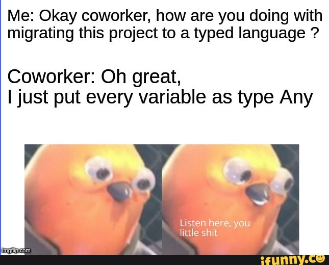Me: Okay coworker, how are you doing with
migrating this project to a typed language Coworker: Oh great,
I just put every variable as type Any