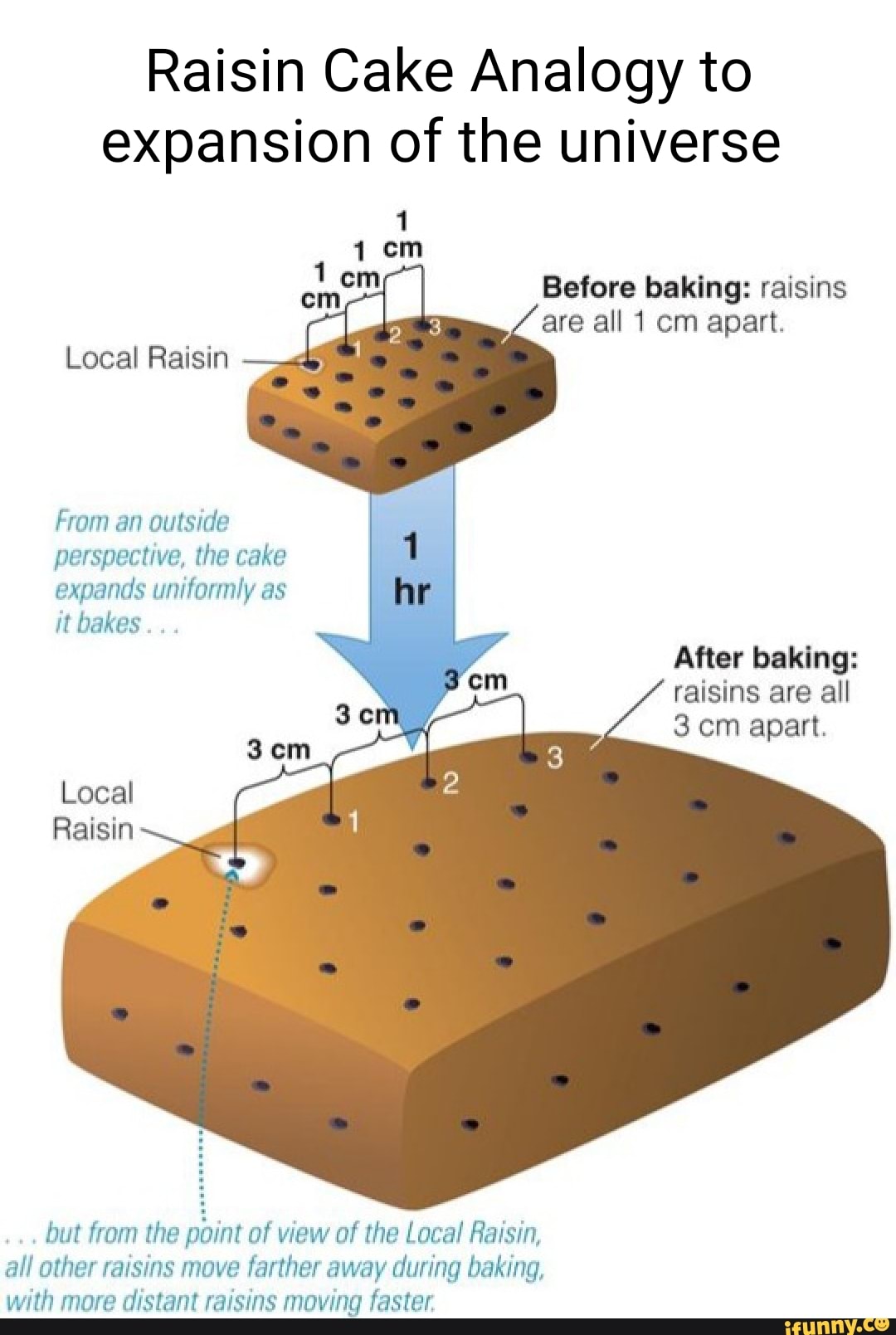 Raisin Cake Analogy to expansion of the universe Before baking raisins are all 1 cm apart
