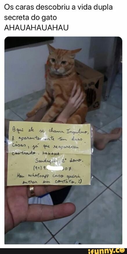 Os caras descobriu a vida dupla
secreta do gato