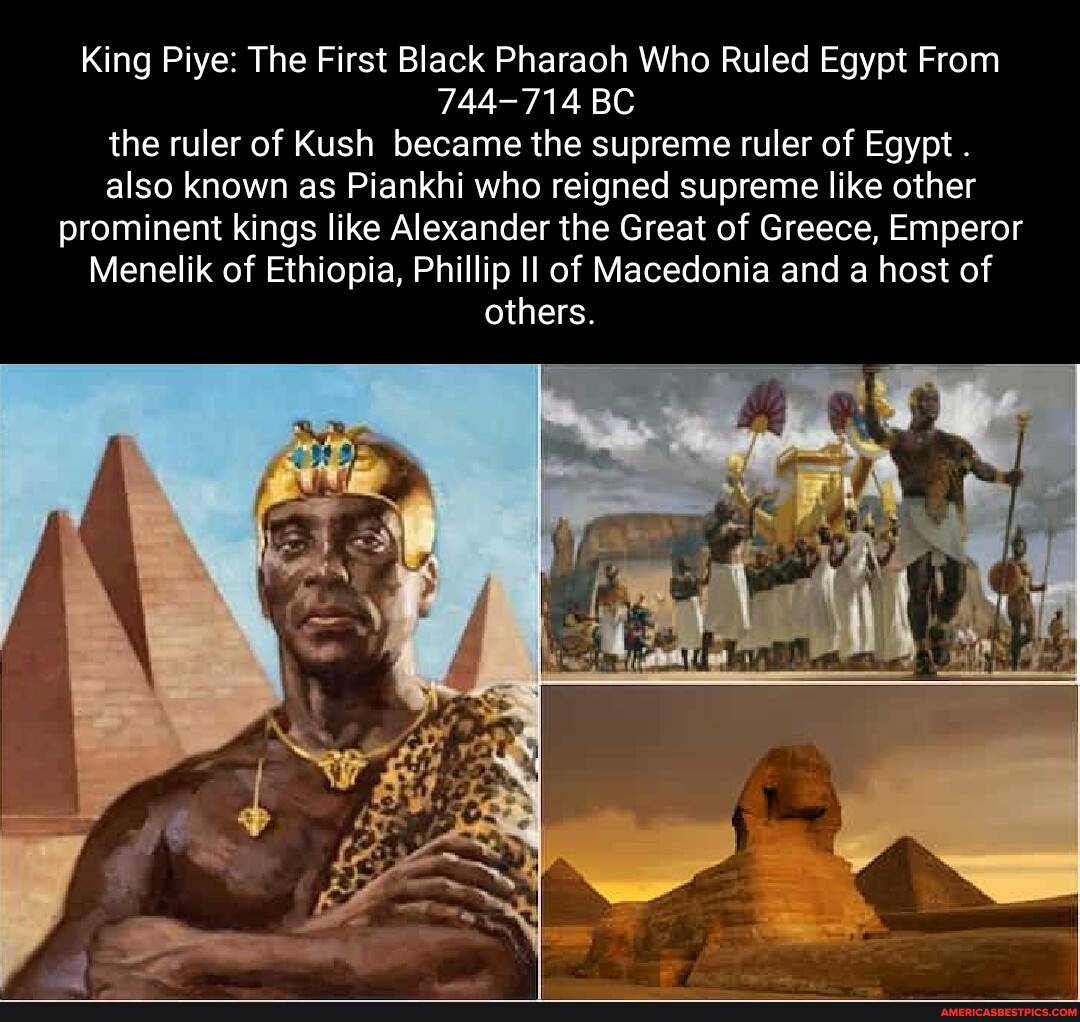 King Piye: The First Black Pharaoh Who Ruled Egypt From 744-714 BC the ...