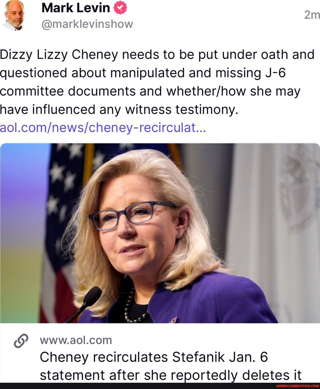 Mark Levin @ Dizzy Lizzy Cheney needs to be put under oath and ...