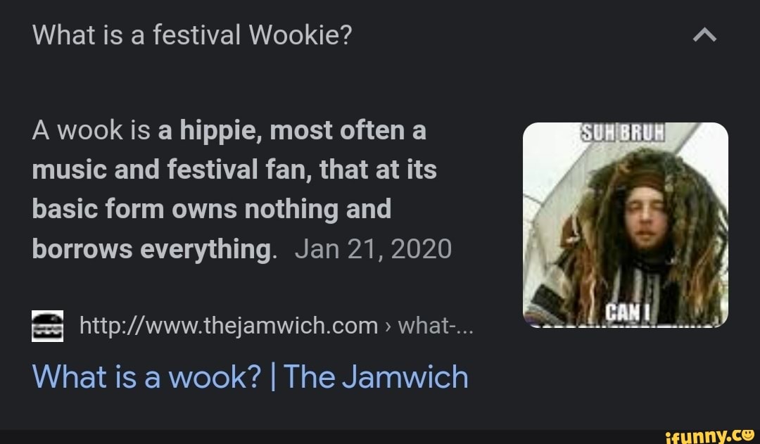 What is a festival Wookie? A wook is hippie, most often a music and festival  fan,