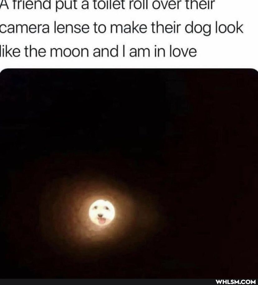 camera lense to make their dog look like the moon and am in love