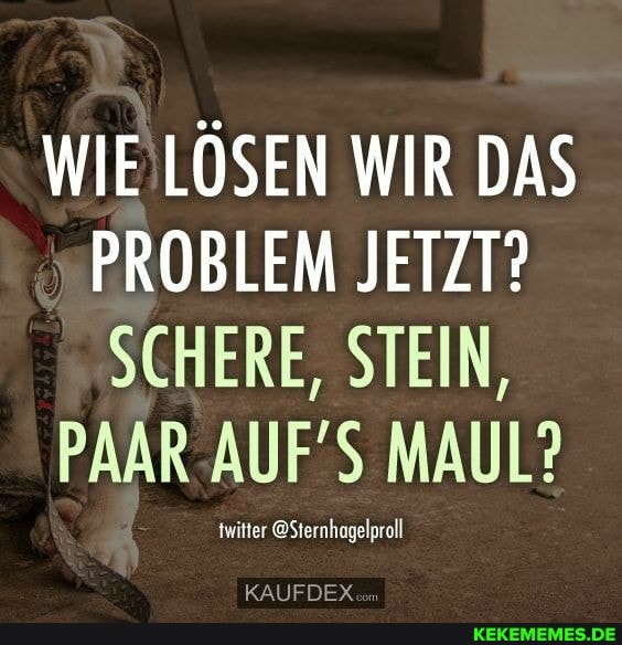 WIE LÖSEN WIR DAS PROBLEM JETZT?
SCHERE, STEIN,
PAAR AUF MAUL?
jernhagelproll
KAUFDEX