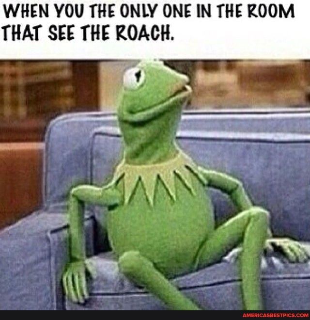 WHEN YOU THE ONLY ONE IN THE ROOM THAT SEE THE ROACH.