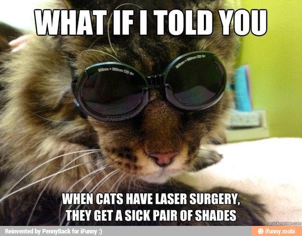 WHAT IF I TOLD vou
WHEN CATS HAVE LASER SURGERY,
THEY GET A SICK PAIR OF SHADES