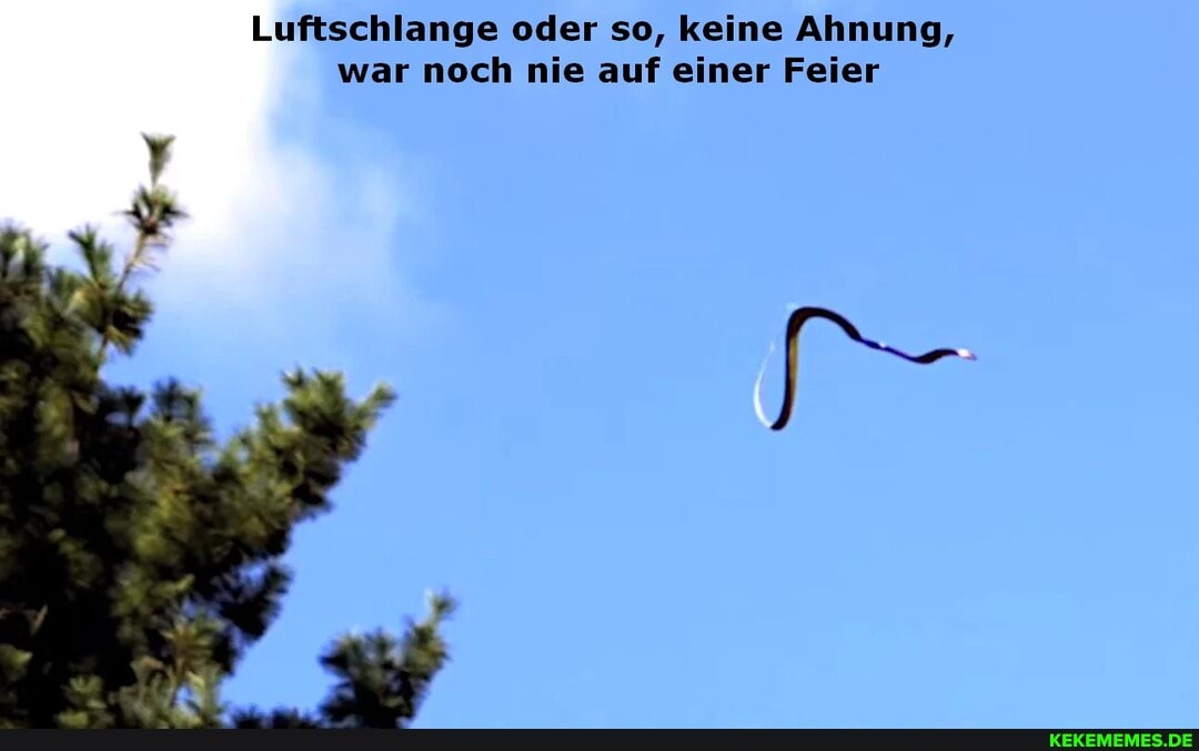 Luftschlange oder so, keine Ahnung, war noch nie auf einer Feier