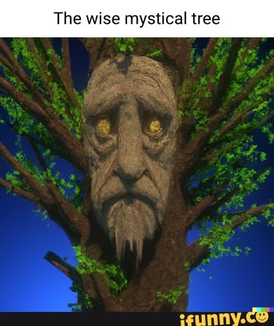 how did the wise mystical tree meme start｜TikTok Search