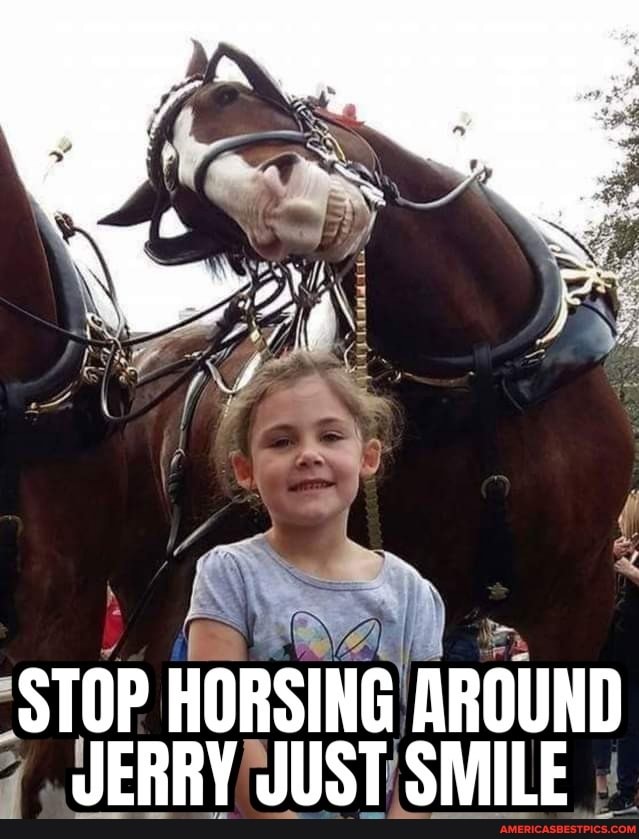 STOP HORSING AROUND JERRY JUST SMILE