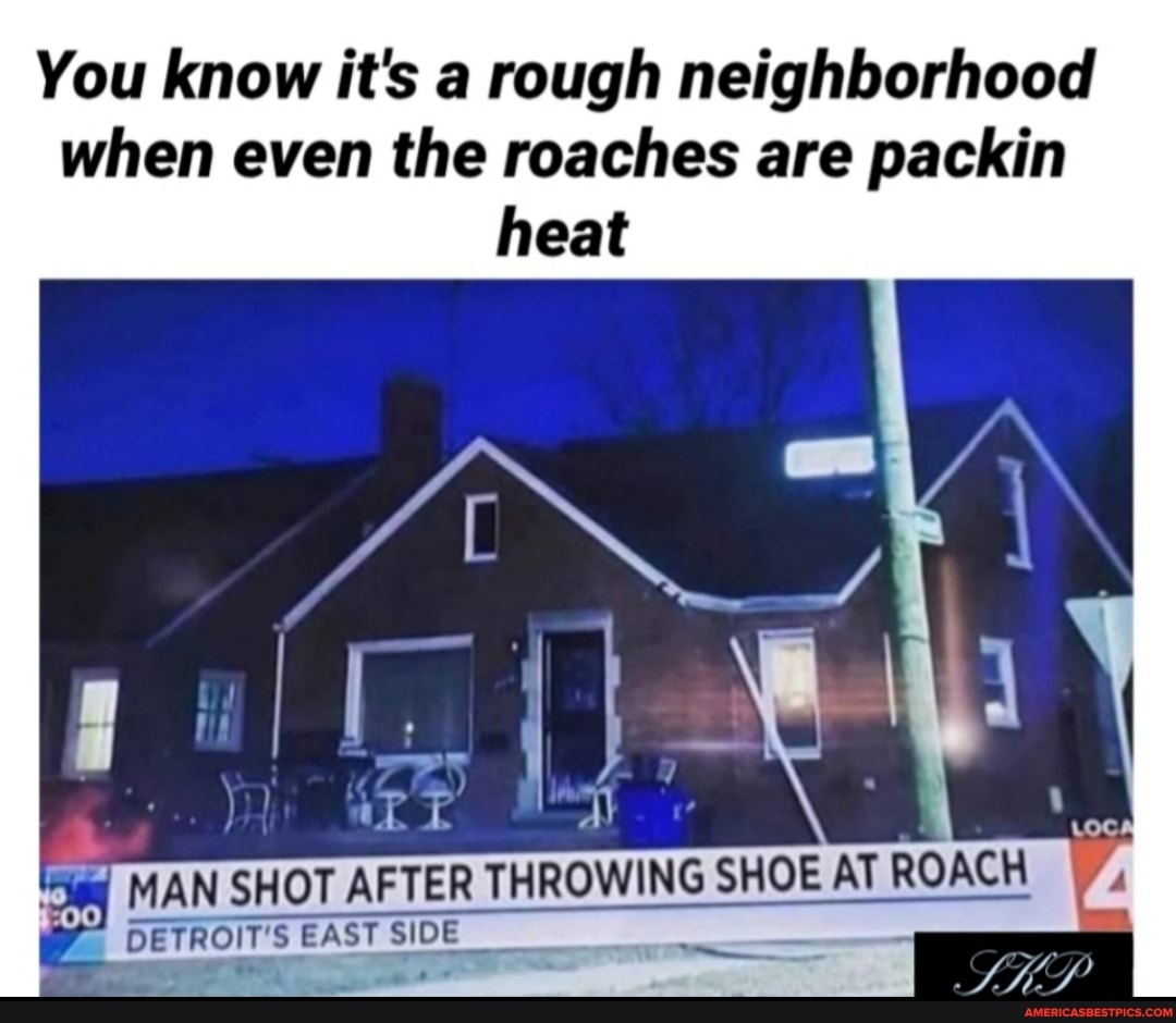 You know it's a rough neighborhood when even the roaches are packin heat
MAN SHOT AFTER THROWING SHOE AT ROACH
DETROIT'S EAST SIDE