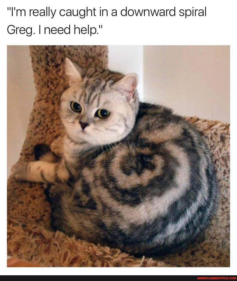 "I'm really caught in a downward spiral
Greg. I need help."