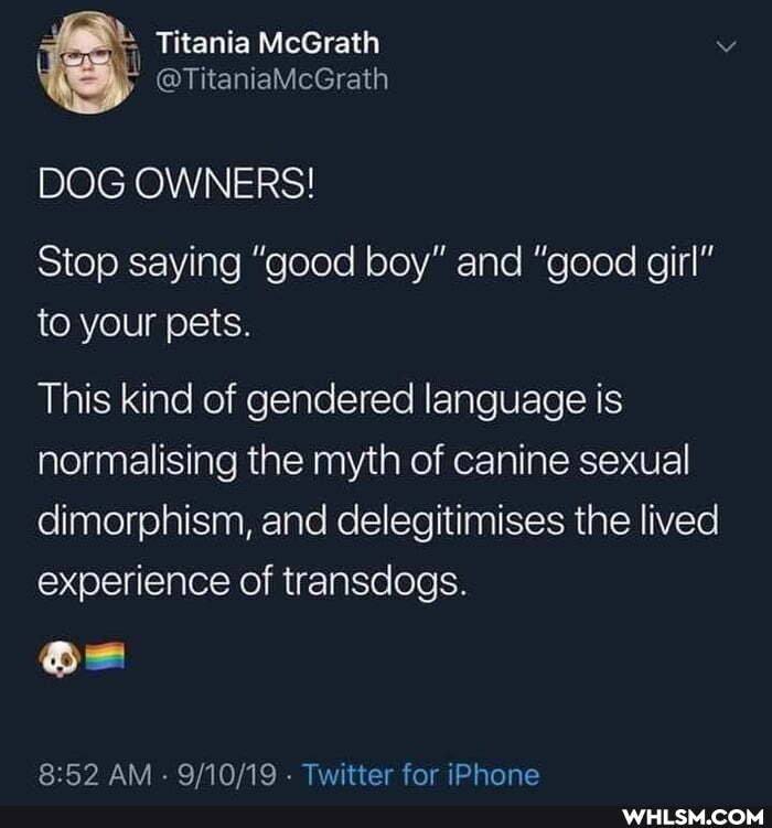 DOG OWNERS!
Stop saying "good boy" and "good girl" to your pets.
This kind of gendered language is normalising the myth of canine sexual dimorphism, and delegitimises the lived experience of transdogs.
AM Twitter for iPhone
